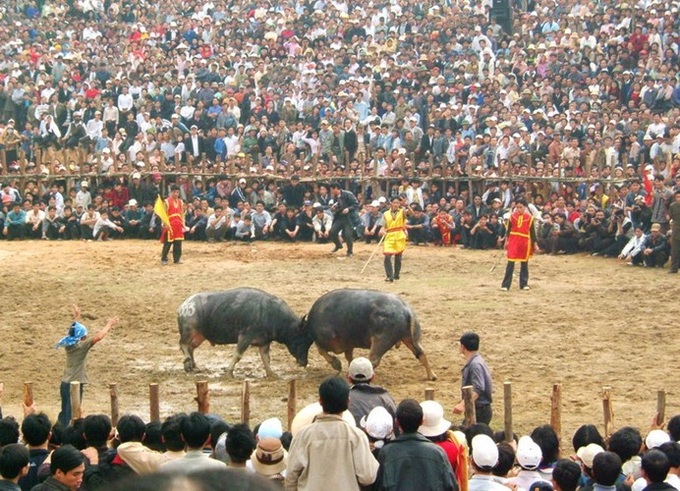 Expert says there are too many new year festivals - 2