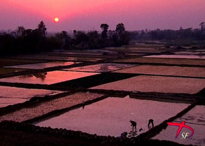 Vietnamese-European documentary film festival set to open - 1