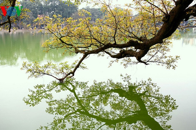 A romantic scenery - 14