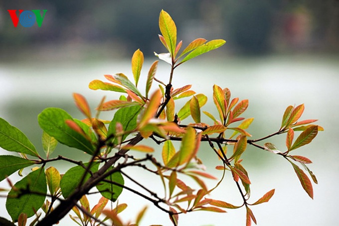 A romantic scenery - 15