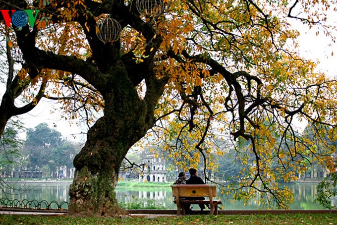 A romantic scenery - 16