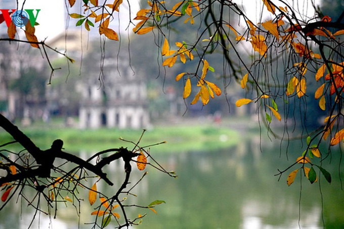 A romantic scenery - 5