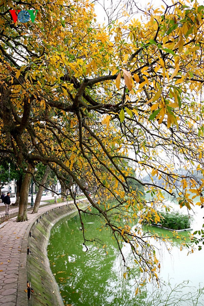 A romantic scenery - 6