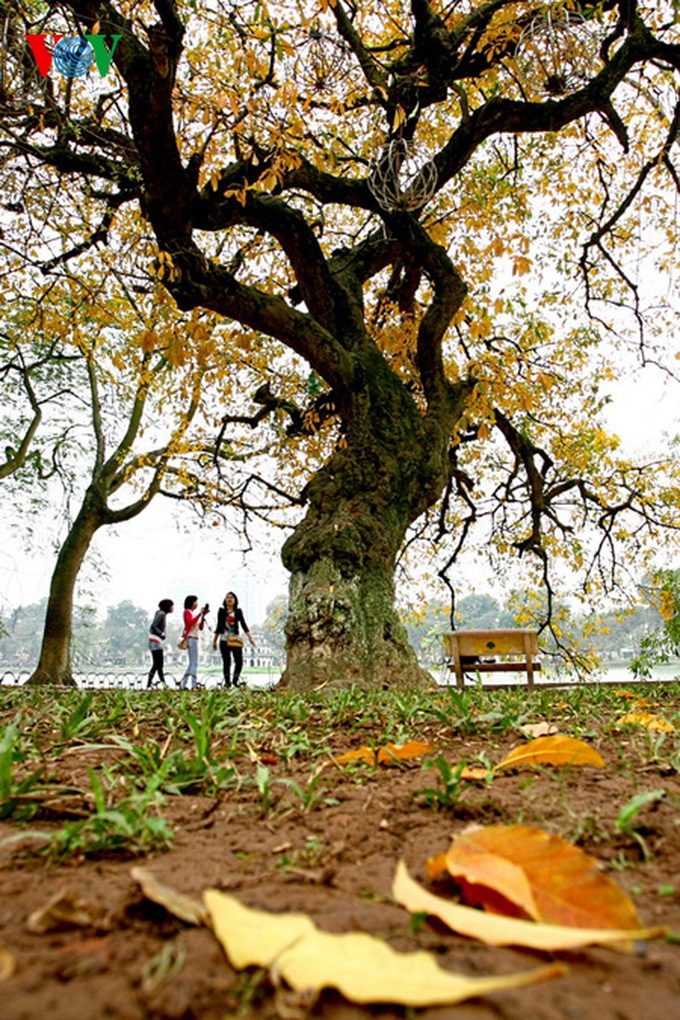 A romantic scenery - 8