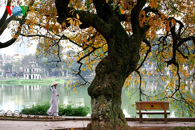 A romantic scenery - 9