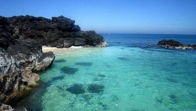 Quang Ngai province to establish sea reserve - 1