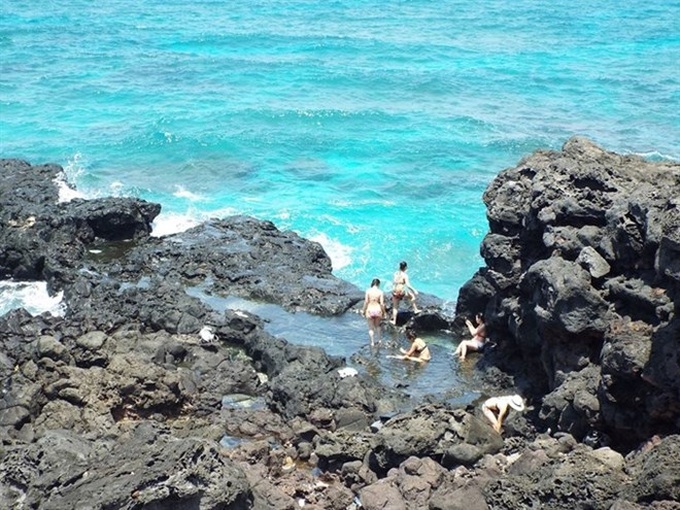 Ly Son Island to restore Vietnam’s biggest whale skeleton - 1