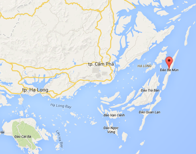 Two moon bears to be rescued from Vietnamese island - 2