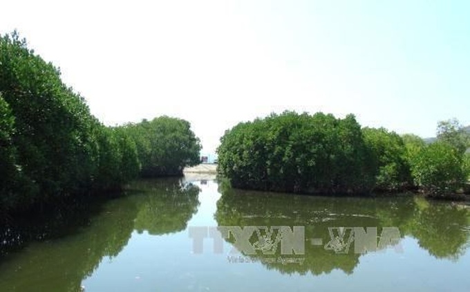 Khanh Hoa moves to protect marine ecosystem - 1