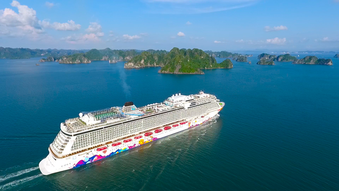 Ha Long Bay harbour to become operational next month - 1