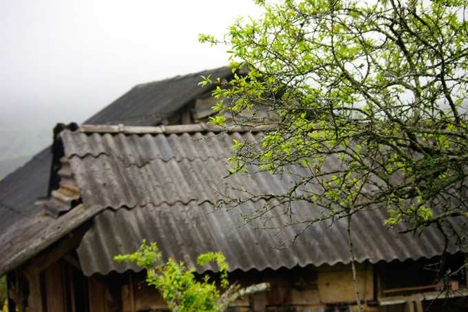 Road to Moc Chau Plateau - 6 Road to Moc Chau Plateau - 6