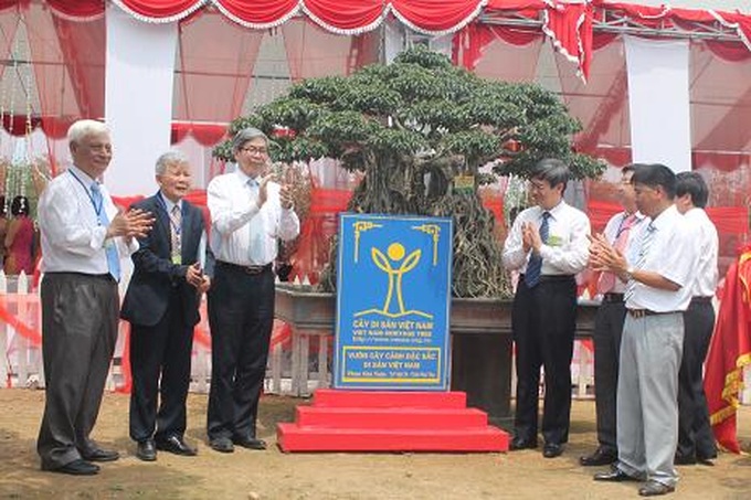 More than 970 Vietnam Heritage Trees recognised - 1 More than 970 Vietnam Heritage Trees recognised - 1