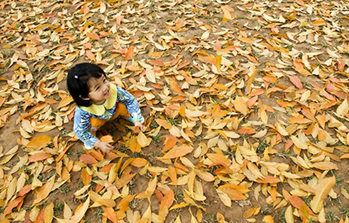 Autumn in Hanoi - 10