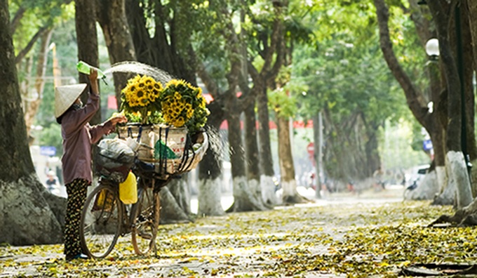 Autumn in Hanoi - 16