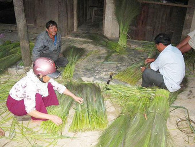 Tiger grass helps improve Co Tu ethnic people’s lives - 3
