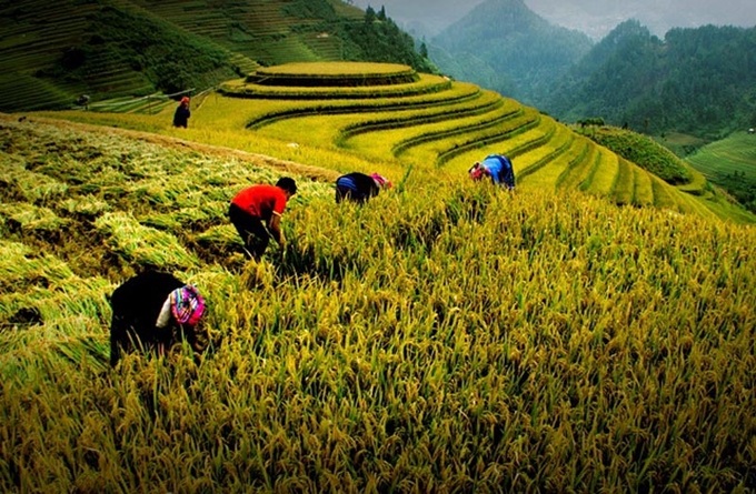 Vietnam Heritage Photo Awards 2017 launched in HCM City - 1