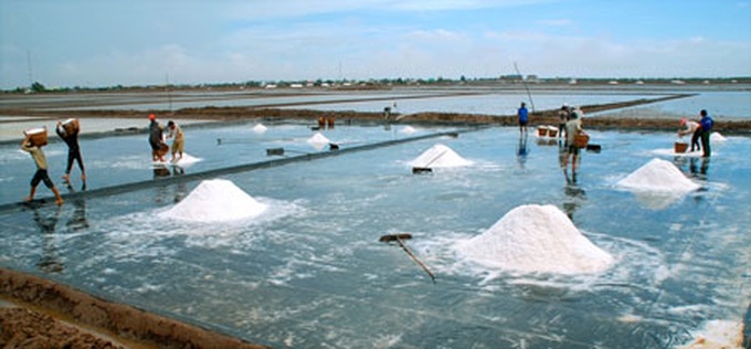 Stormy times for Bac Lieu salt industry - 1 Stormy times for Bac Lieu salt industry - 1