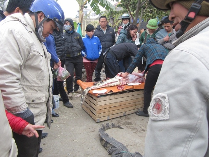 Alligator meat grows popular in Hanoi streets - 1
