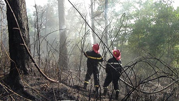 Student photo contest illustrates environmental threats - 10