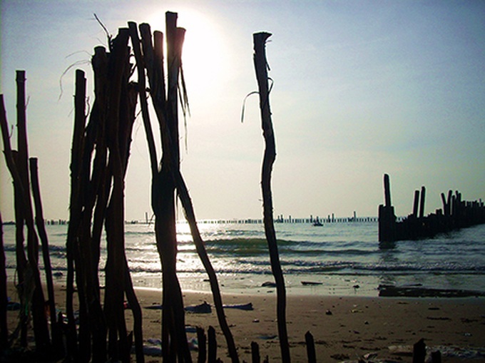 Student photo contest illustrates environmental threats - 3