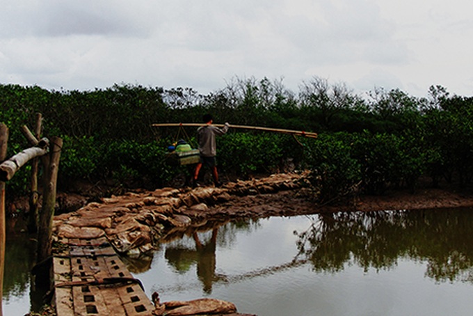Student photo contest illustrates environmental threats - 8