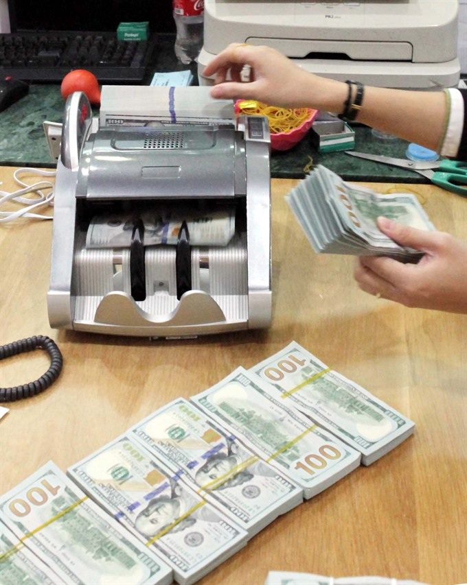 SBV looks to up foreign reserves - 1