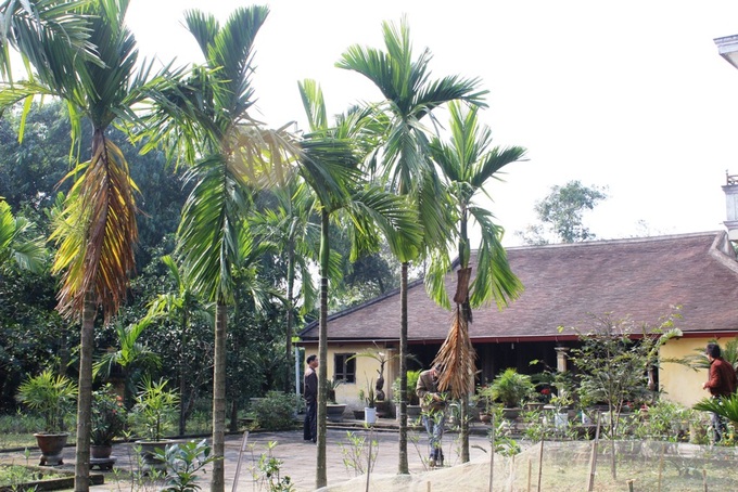 Villagers preserve old homes in Quang Tri - 14