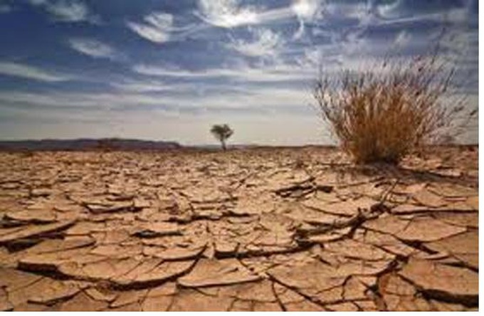 Developed countries urged to pay climate debt - 1 Developed countries urged to pay climate debt - 1