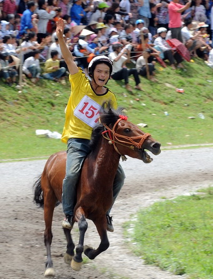 Horse race festival stirs up Bac Ha District - 5
