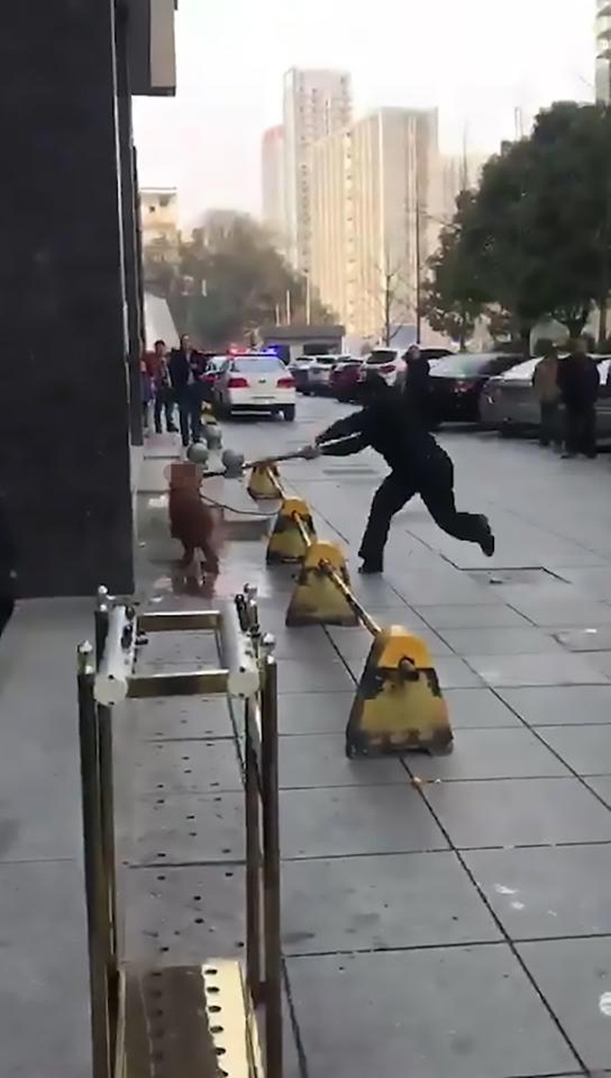 Two jailed for insulting policeman who killed dog in China - 1