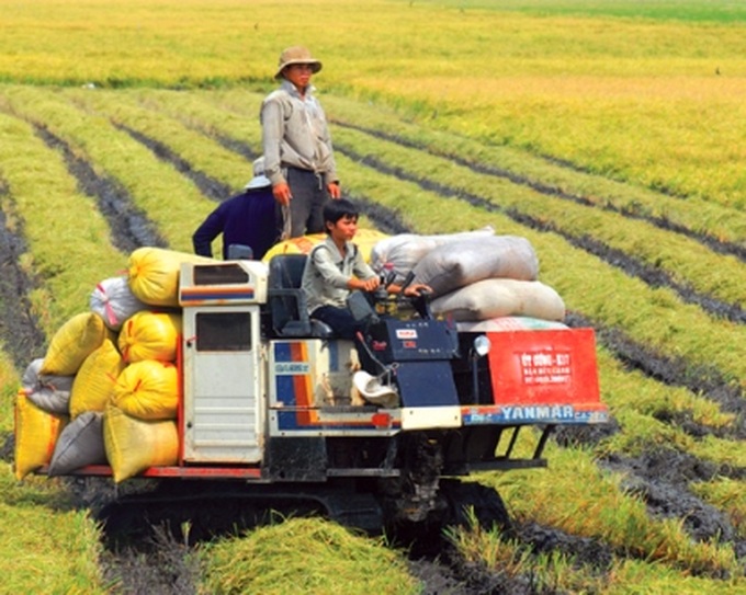 Pros and cons of Vietnam's entry into WTO - 1