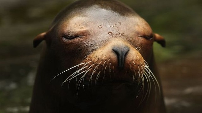 2016 'very likely' to be hottest year on record: UN - 1