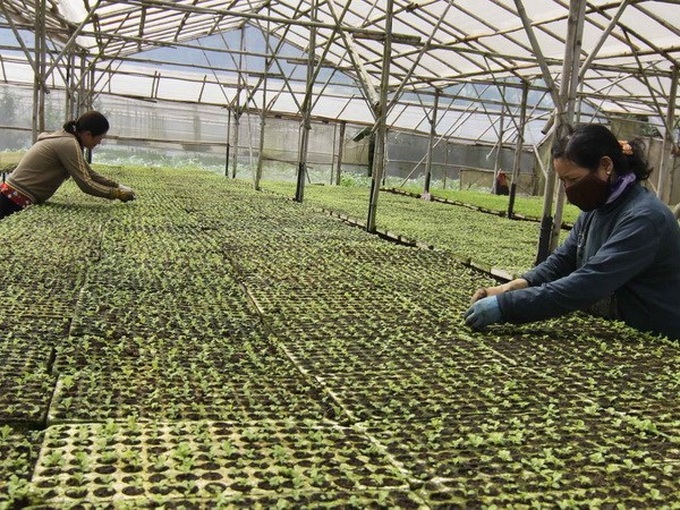 Forum seeks ways to develop safe food production - 1