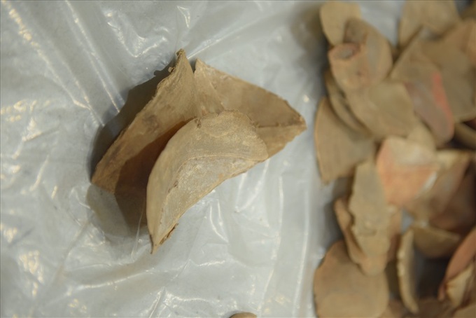 Huge ivory and pangolin scale shipment seized at Noi Bai - 5 Huge ivory and pangolin scale shipment seized at Noi Bai - 5
