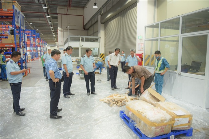 Huge ivory and pangolin scale shipment seized at Noi Bai - 6 Huge ivory and pangolin scale shipment seized at Noi Bai - 6