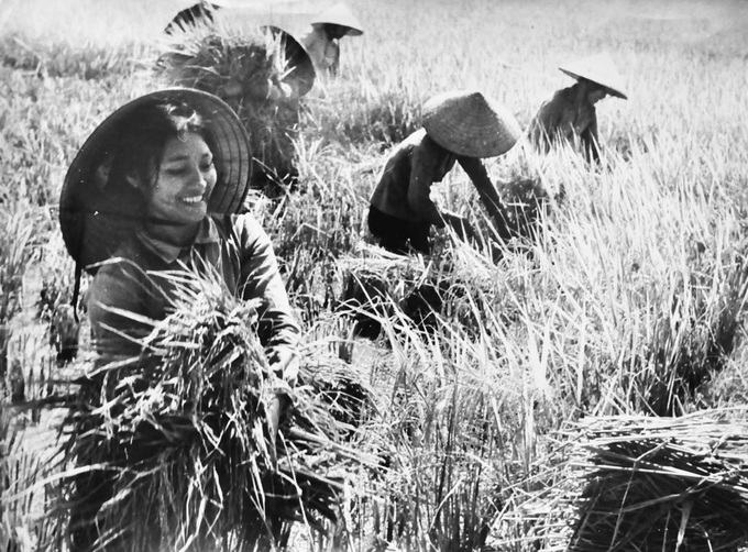 Photo exhibition pays tribute to women's strength in wartime - 2