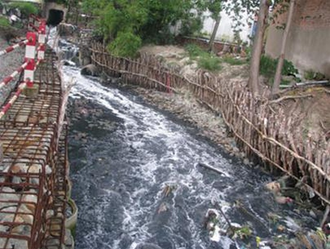 World Bank backs green projects - 1