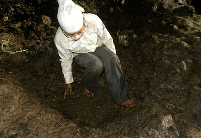 People make a living from bat guano collecting - 6