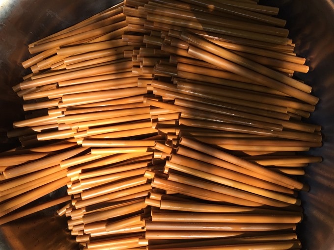 Bamboo straw introduced to reduce single-use plastic - 1 Bamboo straw introduced to reduce single-use plastic - 1