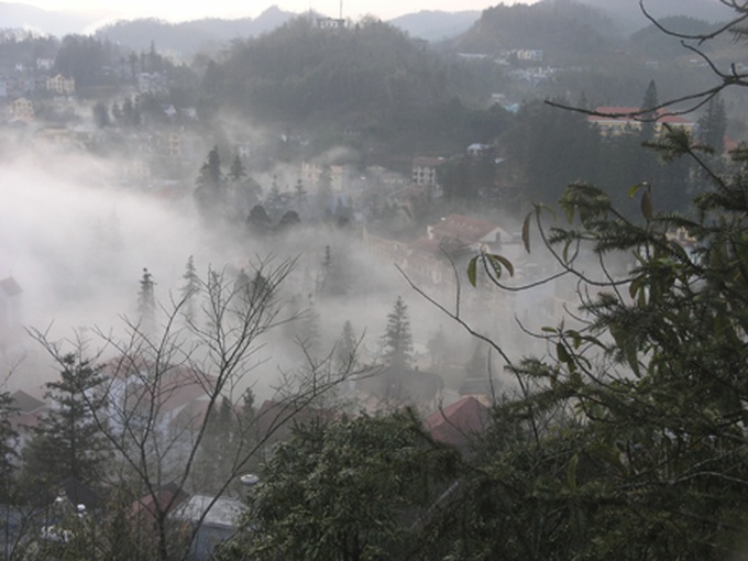 Cold spell threatens Sapa livestock - 1