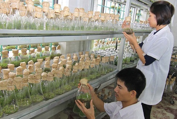 Legislators draft new laws - 1