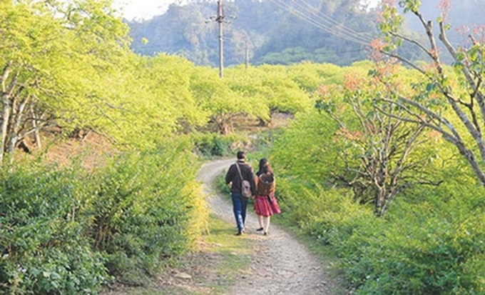 Thought-provoking picture puts Mong in the spotlight - 1