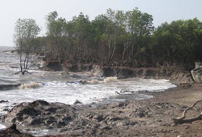 Erosion hits thousands all over Mekong Delta - 1