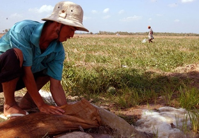 Mekong provinces discuss climate change strategies - 1