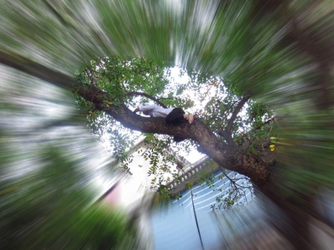 Young people set up dog and cat rescue team in Hanoi - 2