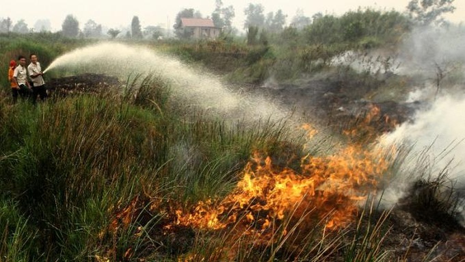 Indonesia accepts international help to combat fires - 1 Indonesia accepts international help to combat fires - 1
