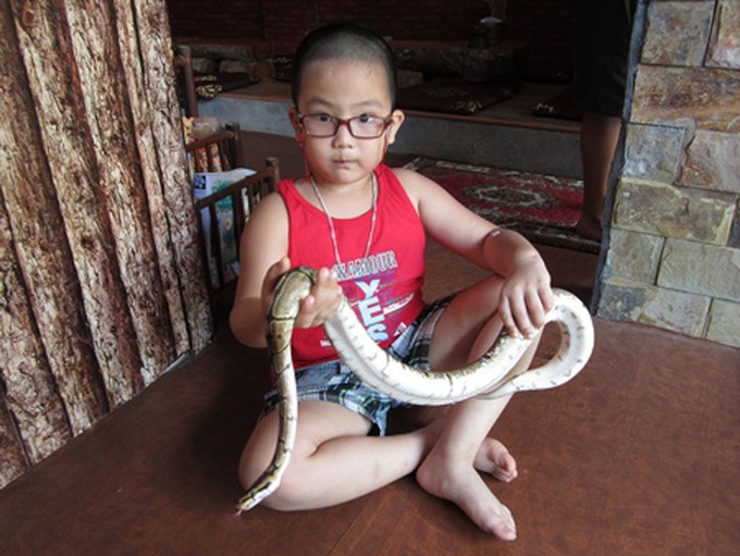 Pet cafes become fashionable in Hanoi - 5