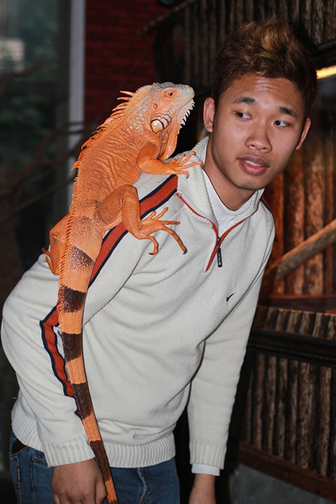 Pet cafes become fashionable in Hanoi - 1