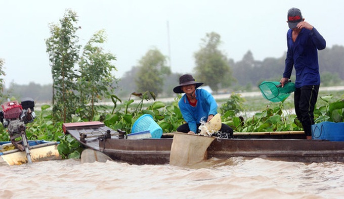 Mekong Delta during the flood season - 1