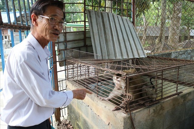 Rare wild animals sharply fall in numbers at Ho Chi Minh City rescue centre - 9